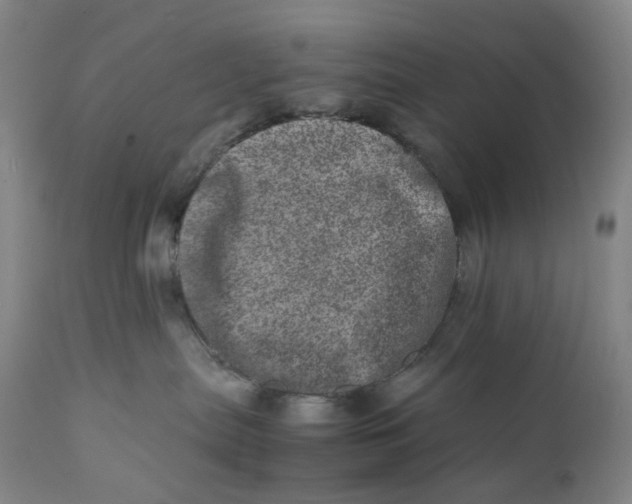 X0000111660287200908071441