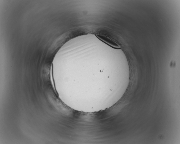 X0000111660288200908071441