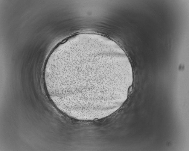 X0000111660289200908071440