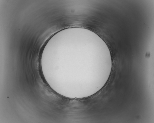 X0000111660290200908071440