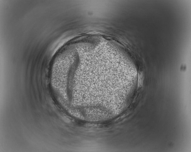 X0000111660291200908071440