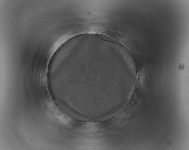 X0000111660292200908071440