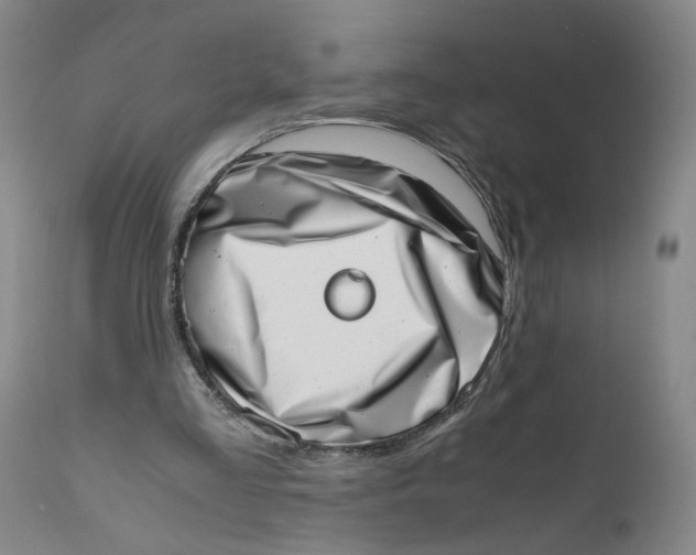 X0000111660293200908071440