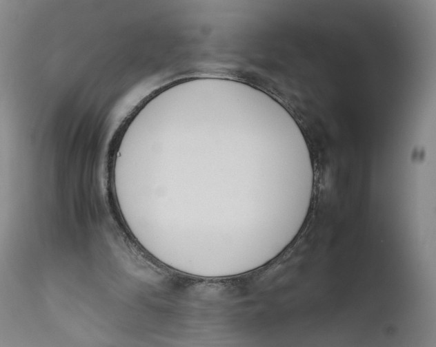 X0000111660294200908071440