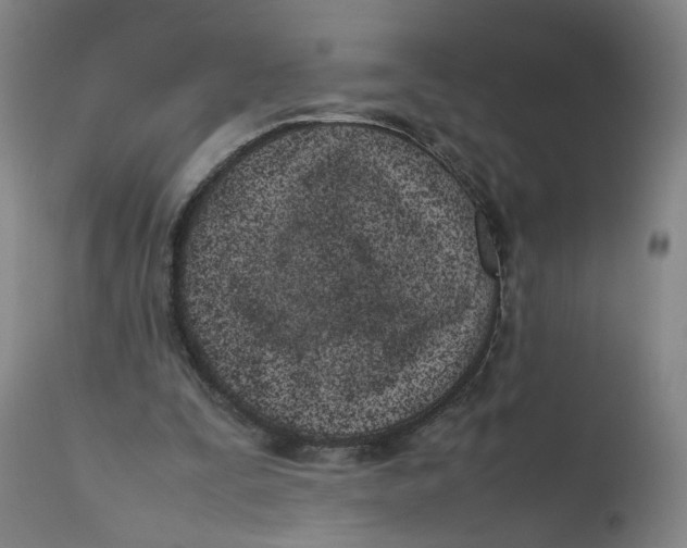 X0000111660295200908071440