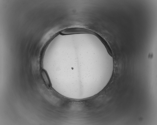 X0000111660296200908071440