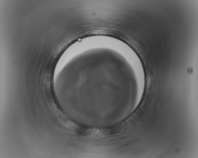 X0000111660297200908071440