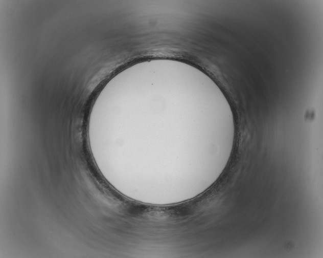 X0000111660299200908071440