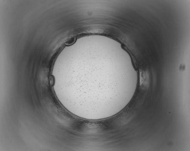 X0000111660300200908071440