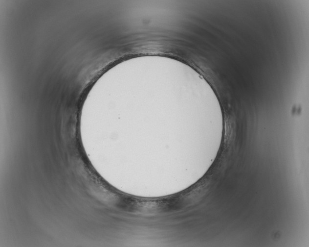 X0000111660301200908071440