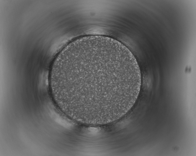 X0000111660302200908071440