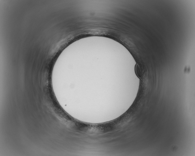 X0000111660303200908071440