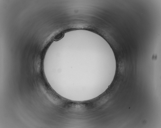 X0000111660304200908071440