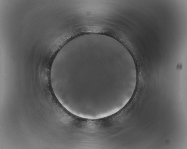 X0000111660305200908071440