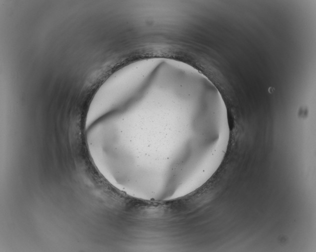 X0000111660306200908071440