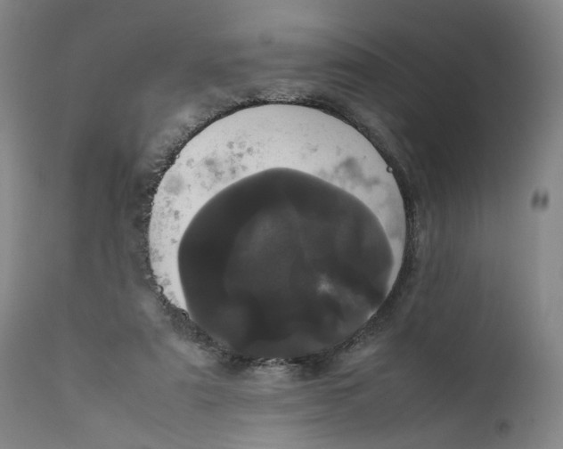 X0000111660307200908071440