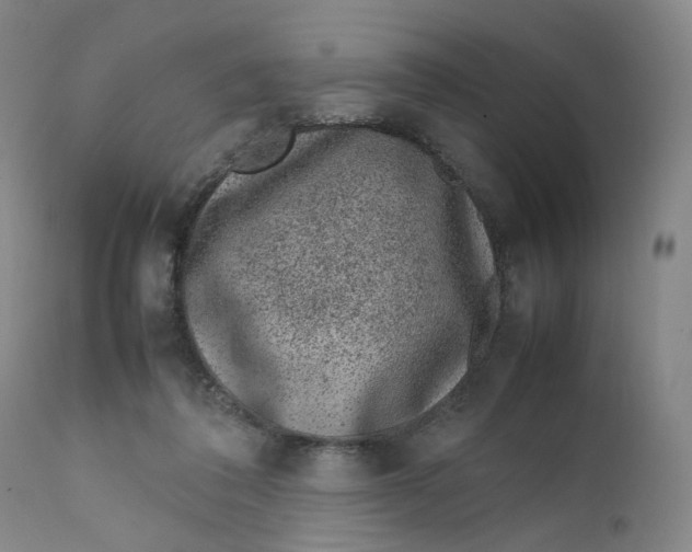 X0000111660308200908071440