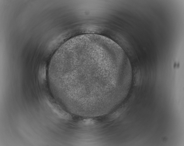 X0000111660310200908071440