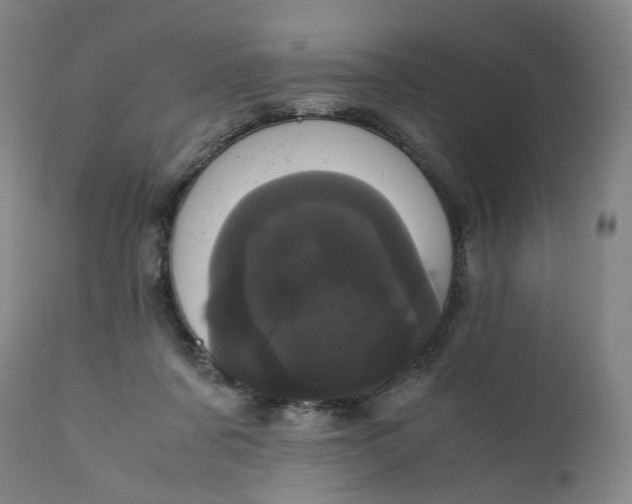 X0000111660311200908071440