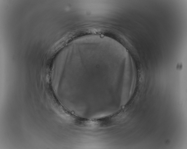 X0000111660313200908071440