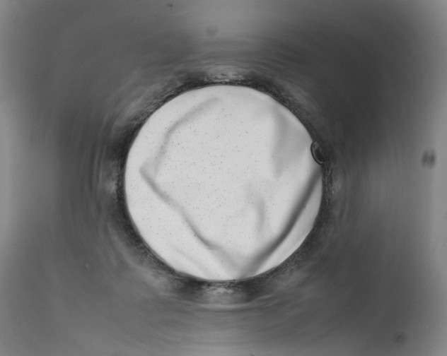 X0000111660315200908071440