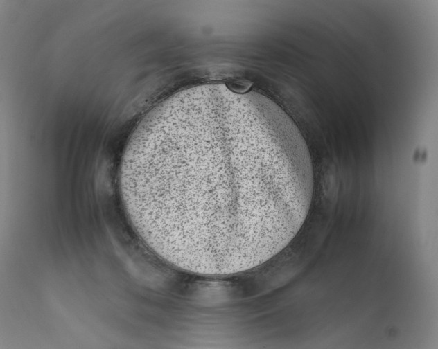 X0000111660316200908071440