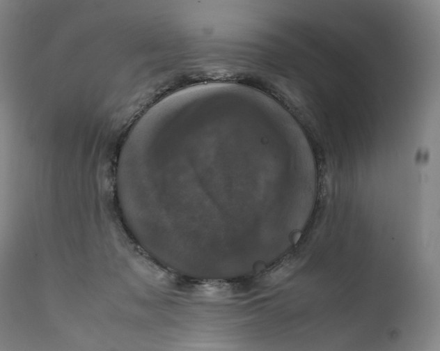 X0000111660317200908071440