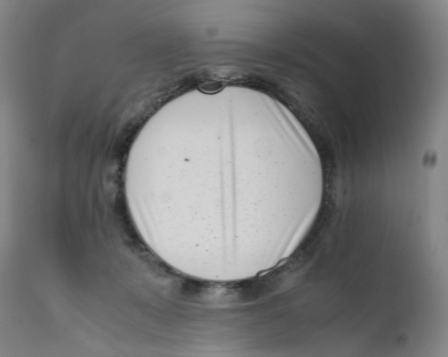 X0000111660319200908071440