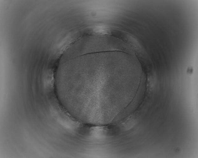 X0000111660320200908071440