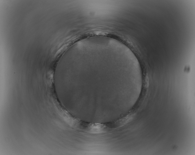 X0000111660321200908071440