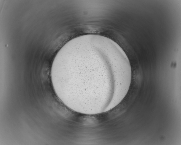 X0000111660322200908071440