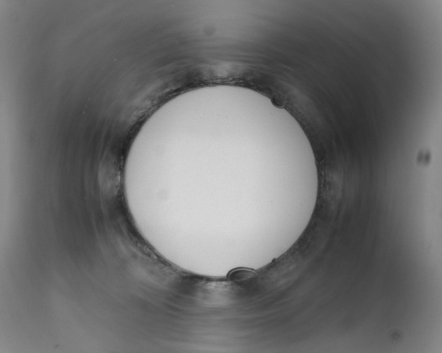 X0000111660324200908071440