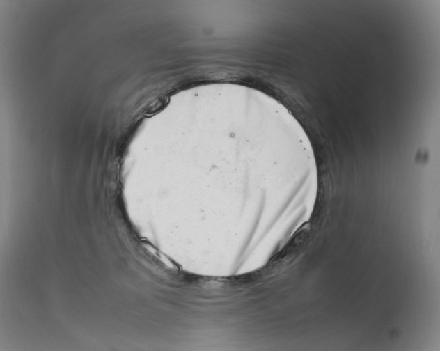 X0000111660325200908071440