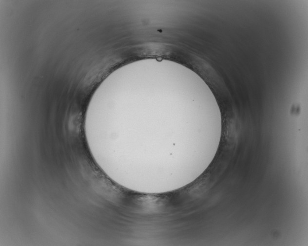 X0000111660326200908071440