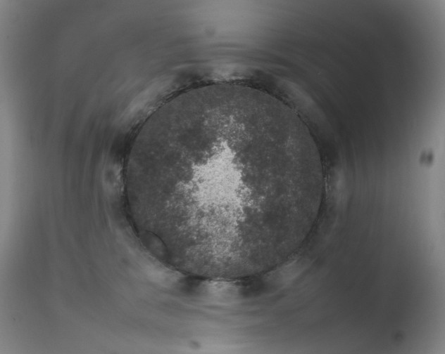 X0000111660327200908071440