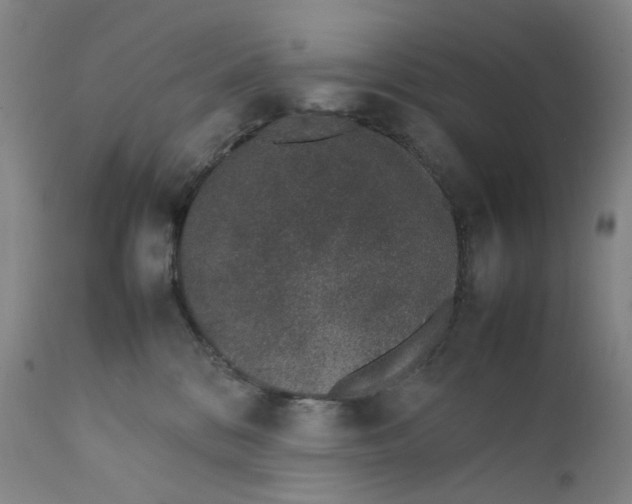 X0000111660328200908071440