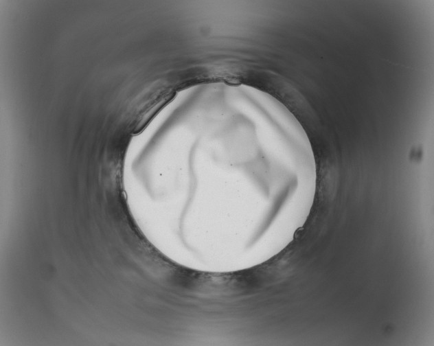 X0000111660329200908071440