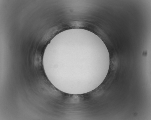 X0000111660330200908071440