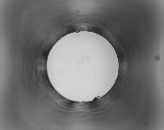 X0000111660331200908071440