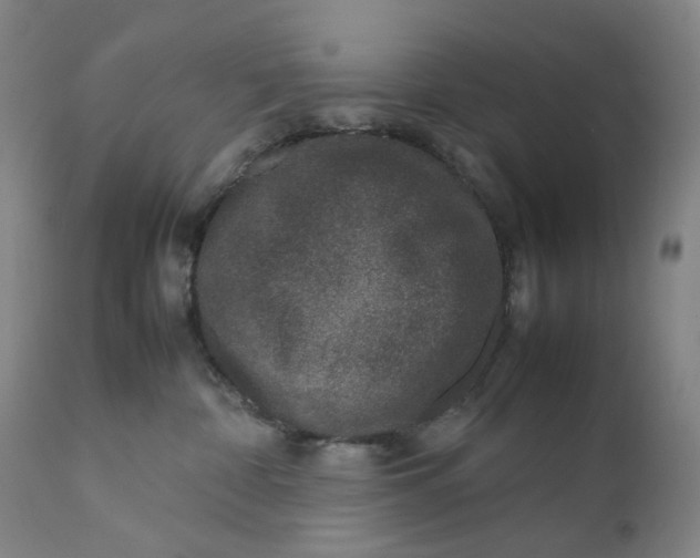 X0000111660332200908071440