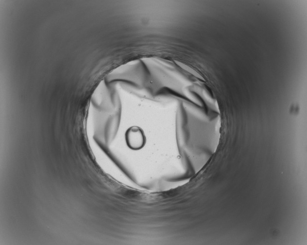 X0000111660333200908071440