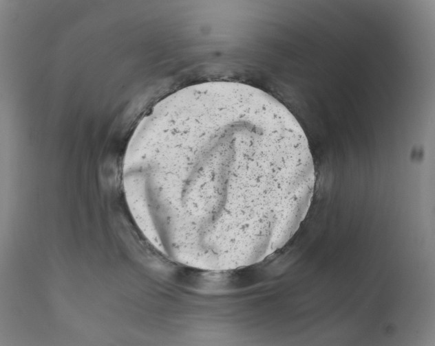 X0000111660335200908071439