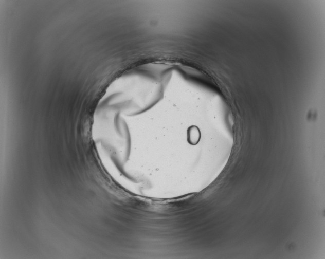 X0000111660336200908071439