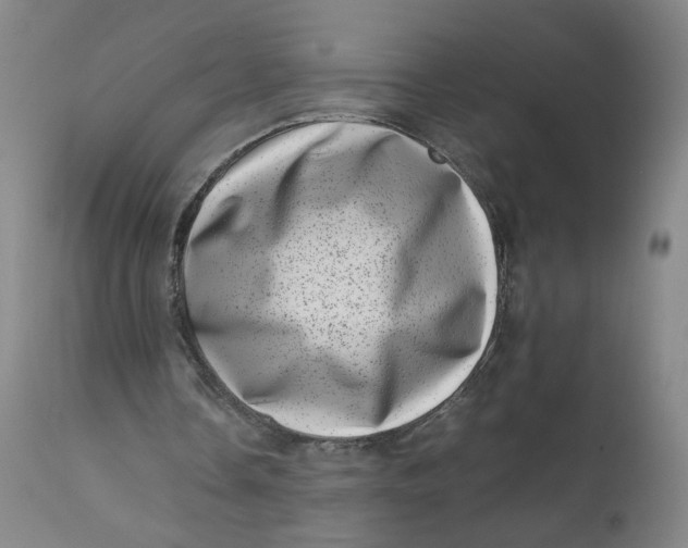 X0000111660338200908071439