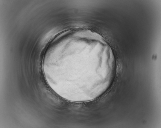 X0000111660339200908071439