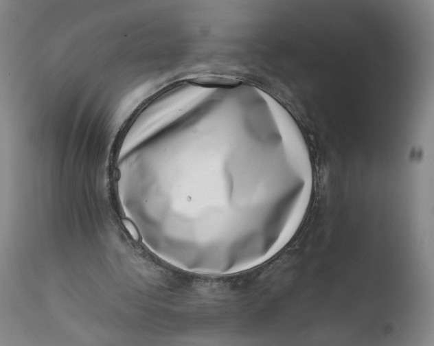 X0000111660340200908071439