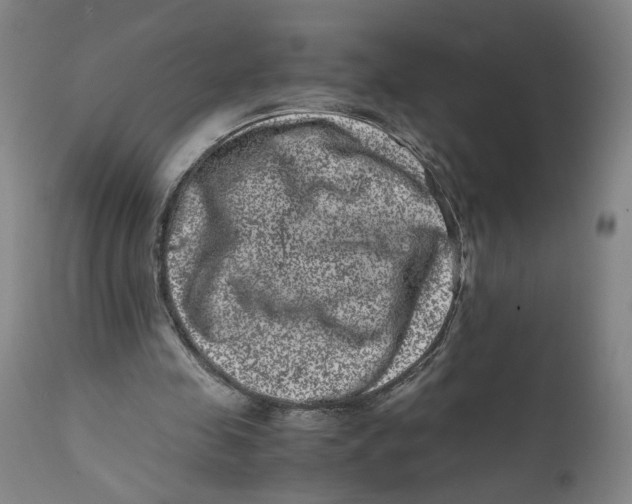 X0000111660341200908071439