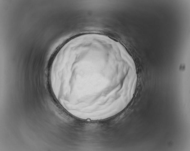 X0000111660342200908071439