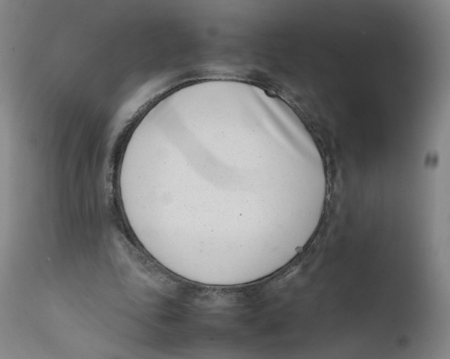 X0000111660343200908071439