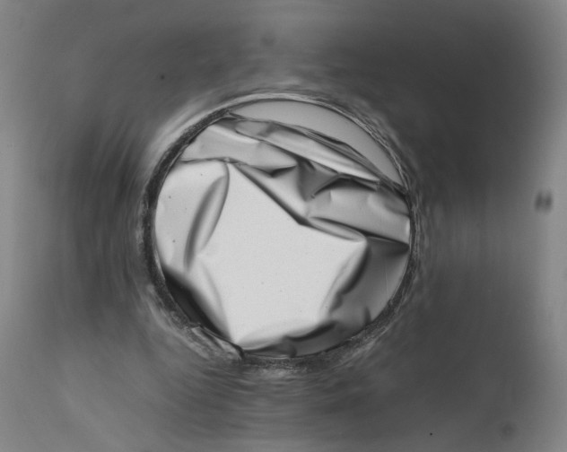 X0000111660344200908071439